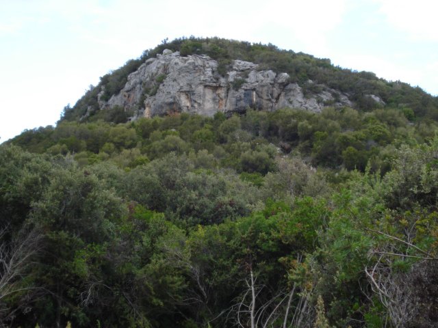 DSC00693.JPG