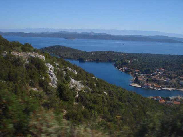DSC00784.JPG