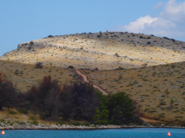 DSC00856.JPG