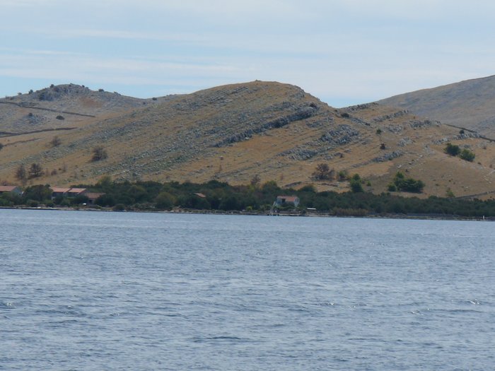 P1030919.JPG